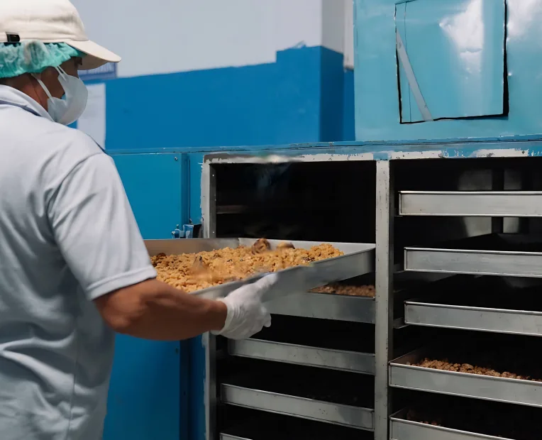Trays of arenga sugar going into a drying cabinet